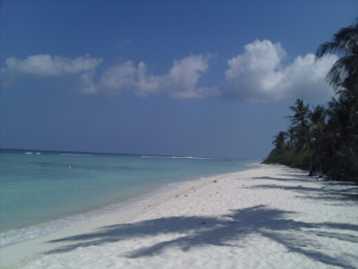 20140417141614_SUNP0772.JPG image