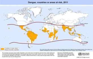 Dengue Fieber Karte