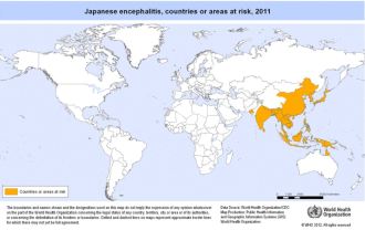 Japanische Enzephalitis